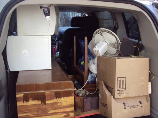 Best Attic Cleanout  in Weimar, TX